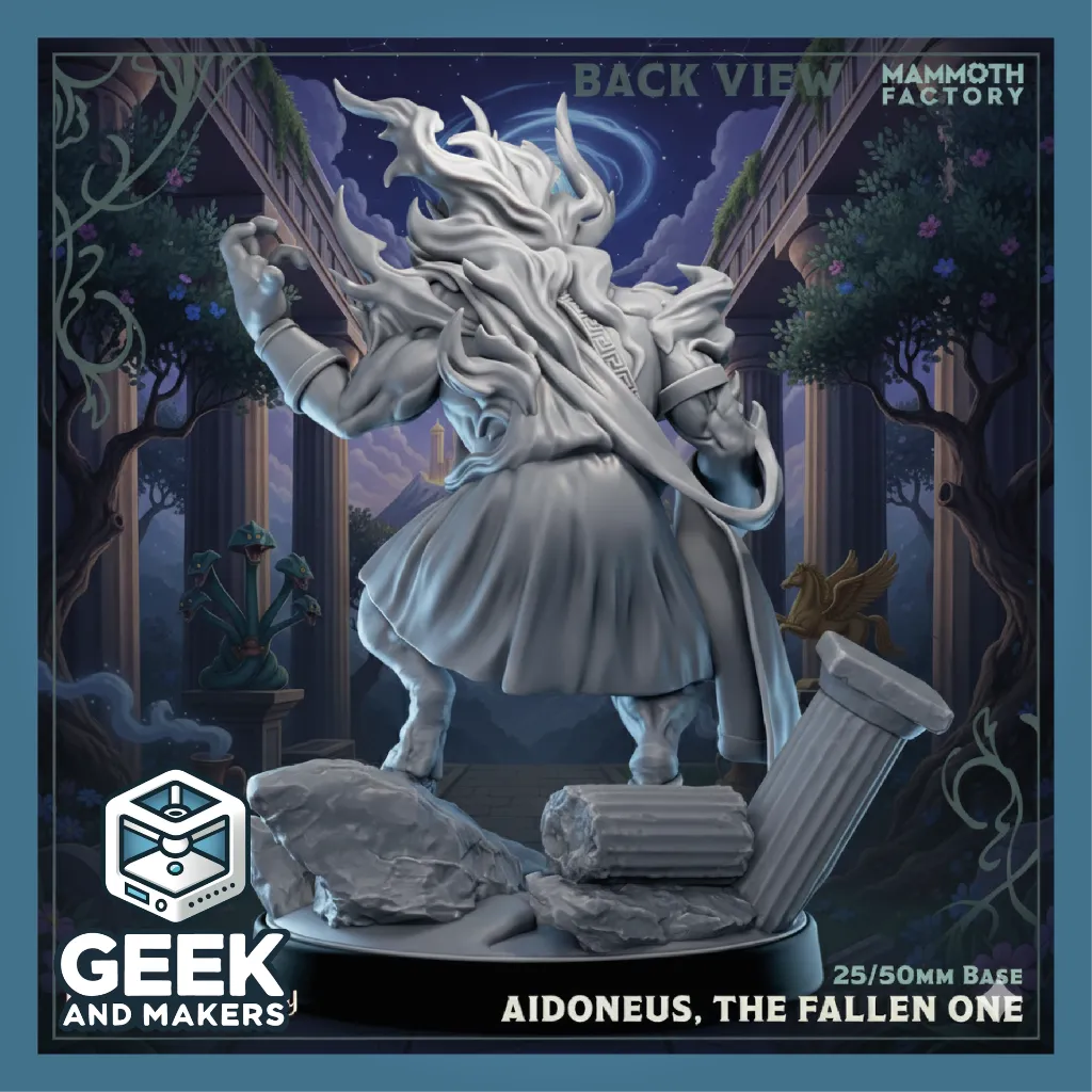 Vinted_Aidoneus, The Fallen One Back View.webp