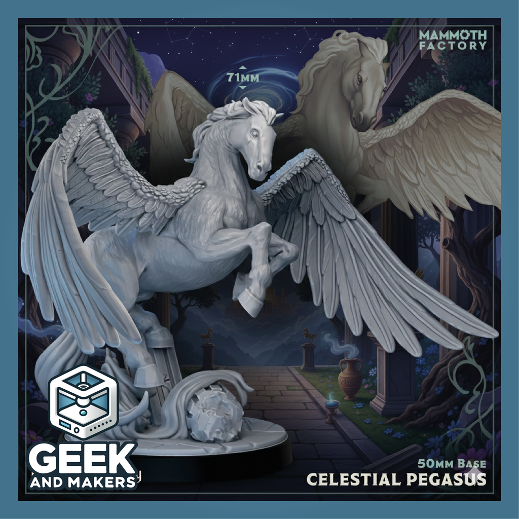 Vinted_Celestial Pegasus.png