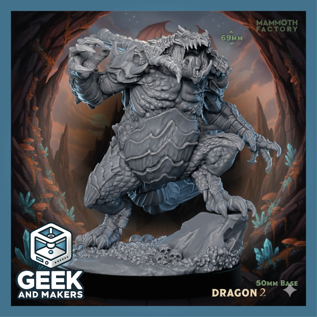 Vinted_Dragon Ogre 2.png