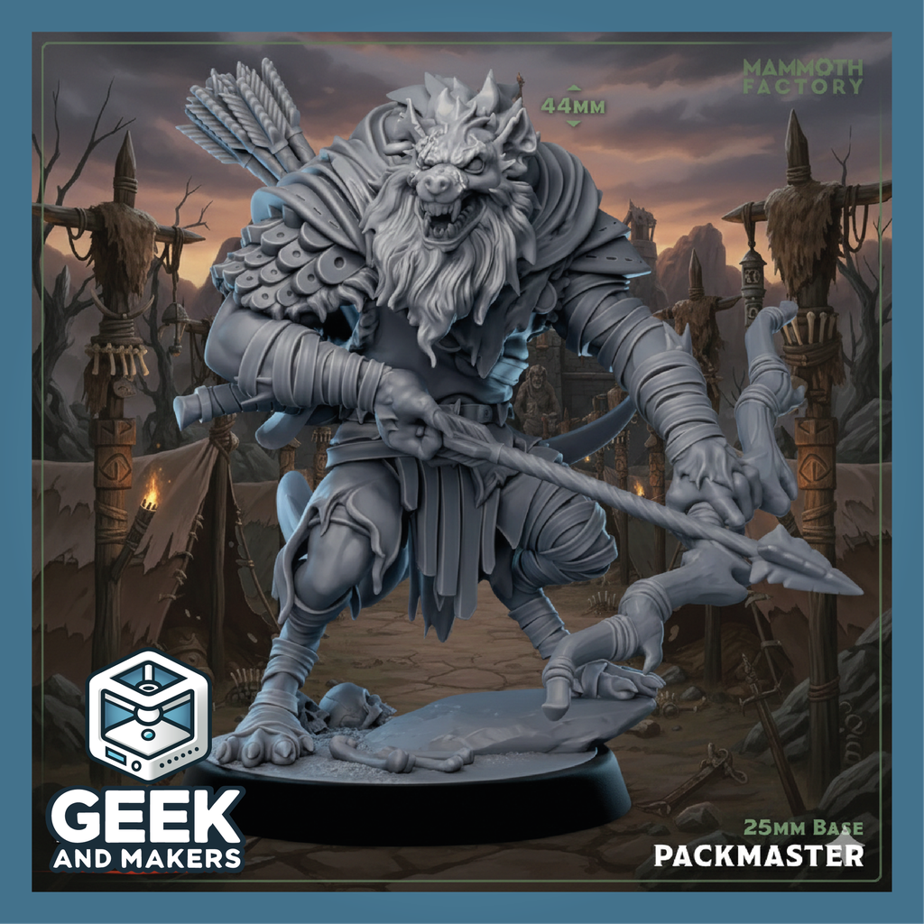 Vinted_Packmaster.png