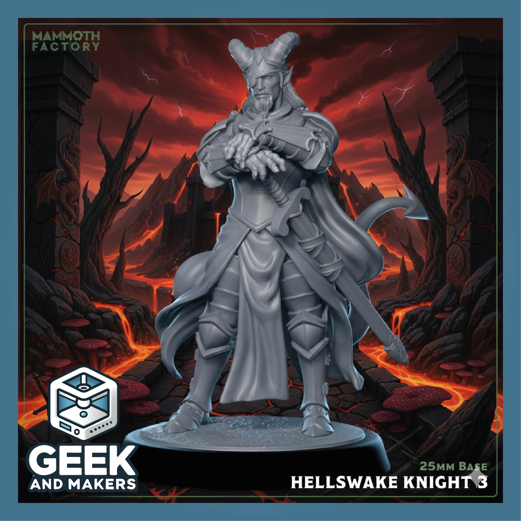 Vinted_Hellswake Knight 3.png