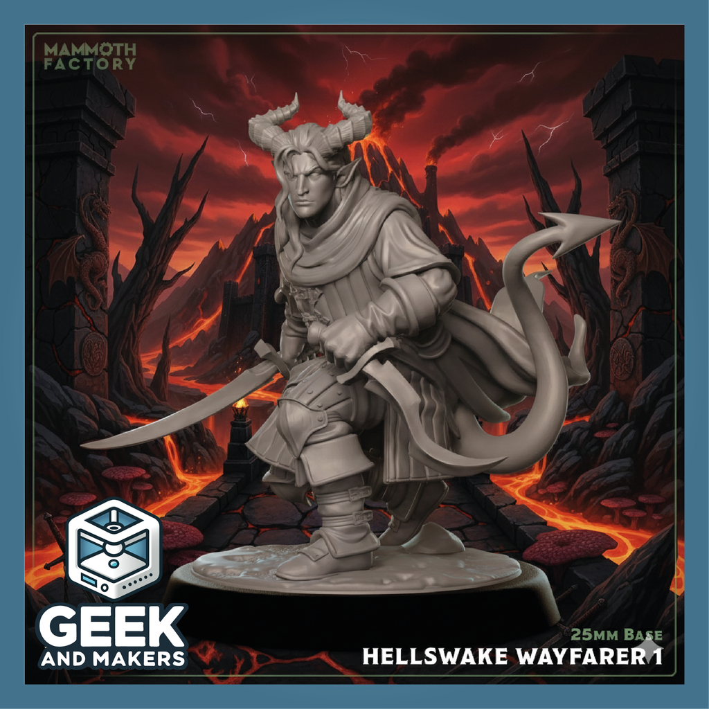 Vinted_Hellswake wayfarer 1.png