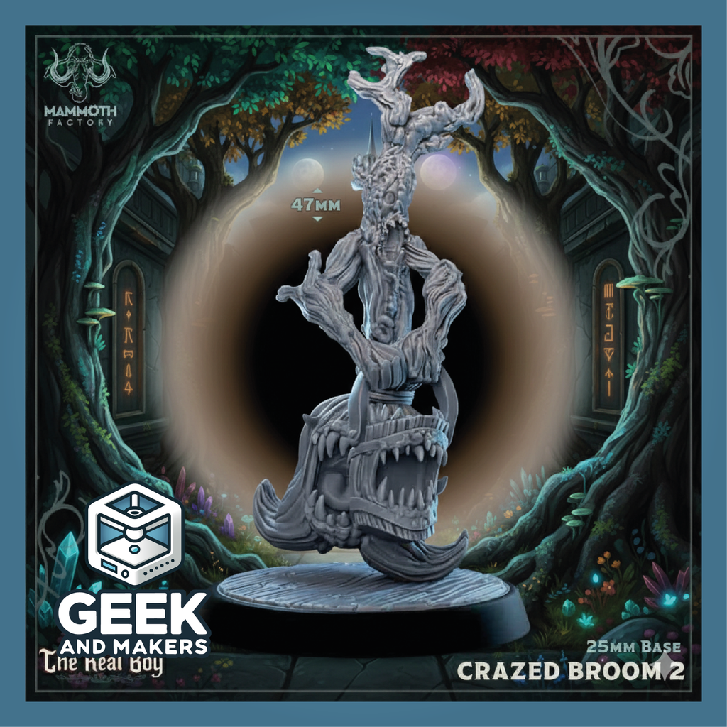 Vinted_Crazed_Broom_2.png