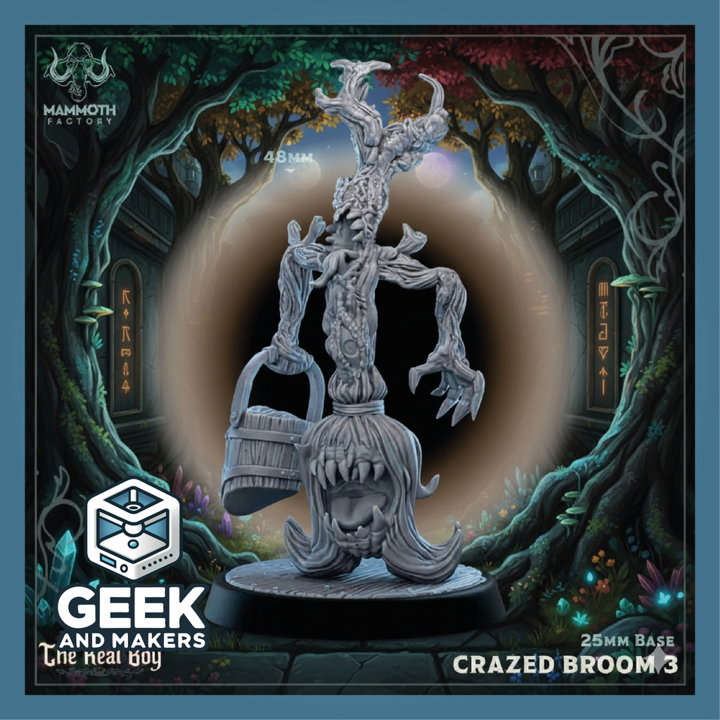 Vinted_Crazed_Broom_3.png