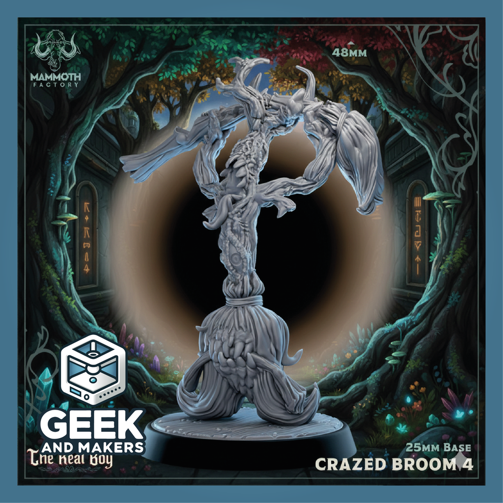 Vinted_Crazed_Broom_4.png