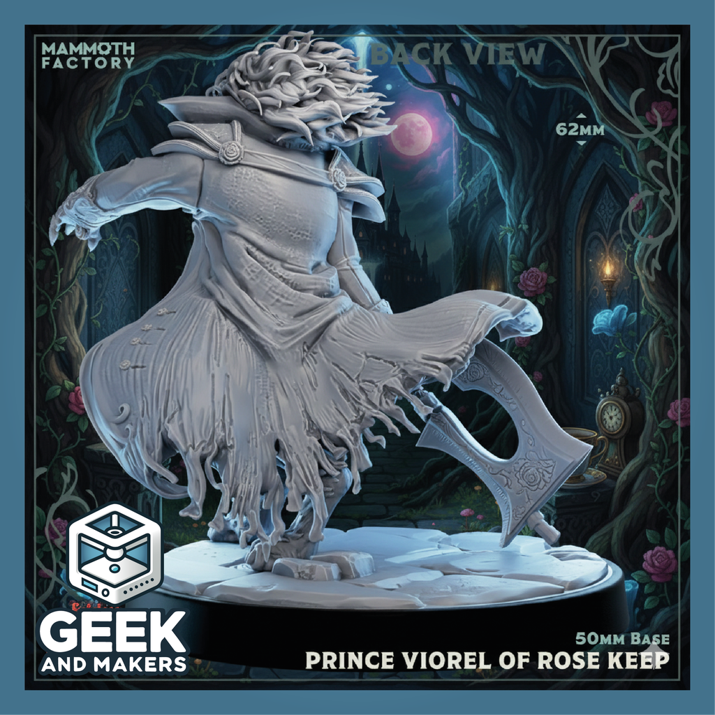 Vinted_Prince Viorel of Rose Keep Back View1.png