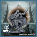 Vinted_Forgeborn Templar 2.png