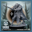 Vinted_Forgeborn Templar 3.png