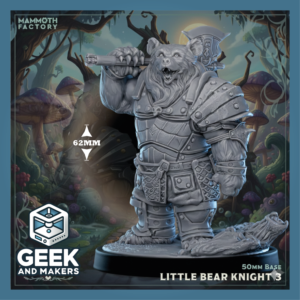 Vinted_Little Bear Knight1.png