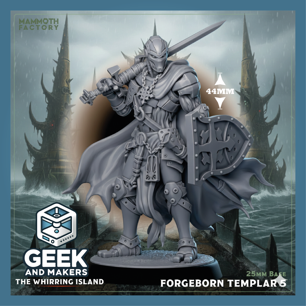 Vinted_Forgeborn Templar 5.png