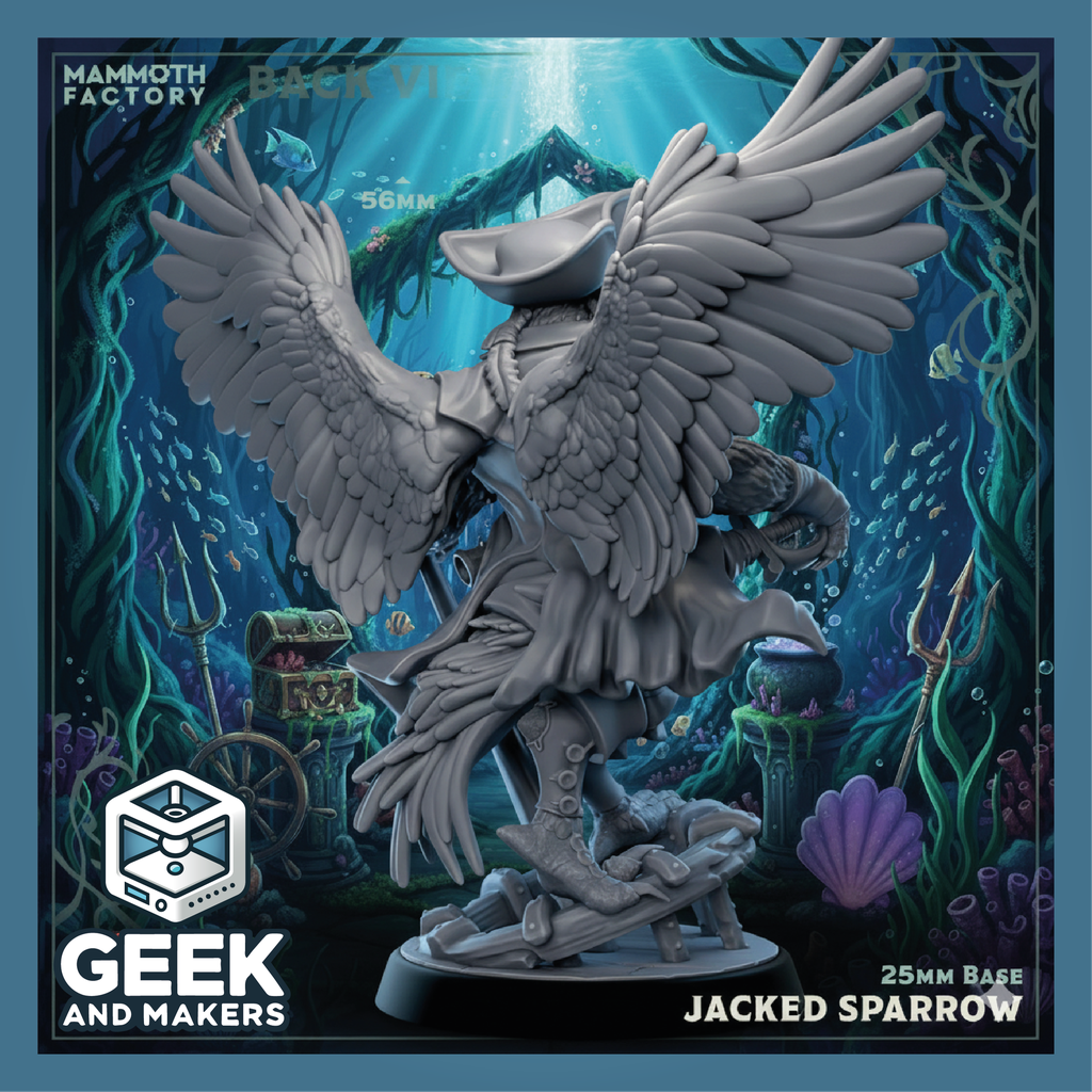 Vinted_Jacked Sparrow Back View.png