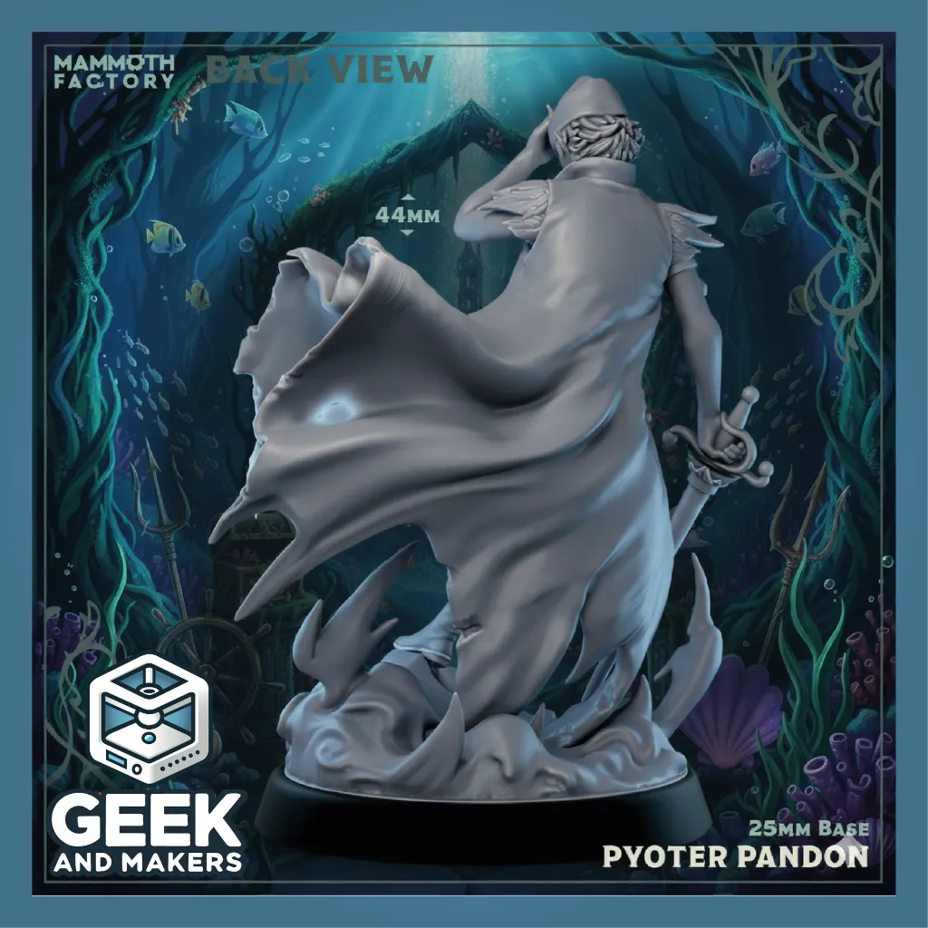 Vinted_Pyotr Pandon, Prince of the Neverisles Back View1.webp