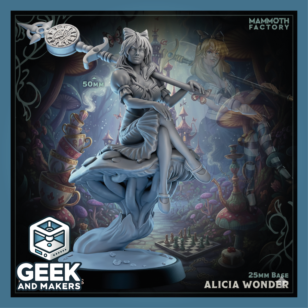 Vinted_Alicia Wonder1.png
