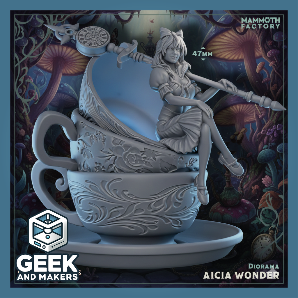Vinted_Alicia Wonder Diorama1.png
