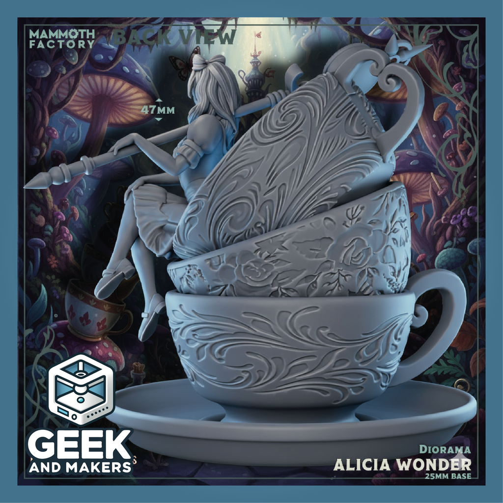 Vinted_Alicia Wonder Diorama Back View1.png