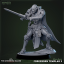 Forgeborn Templar 3