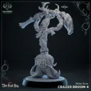 Crazed Broom - Mimic