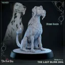 Last Blink Dog